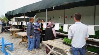 Konya Fidede satışlar başladı