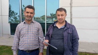 Koyunun kafa attığı yetiştirici yaralandı