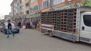 Kuyruğun sebebini duyan şaştı kaldı