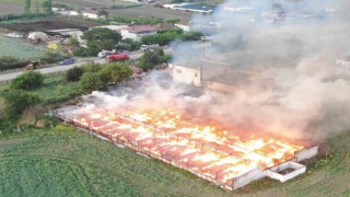Manisada 160 ton kozalak kül oldu