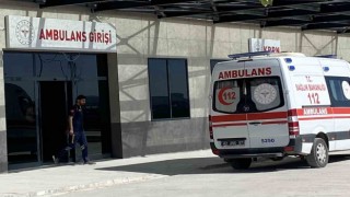 Mantar toplarken düşerek hastanelik oldu