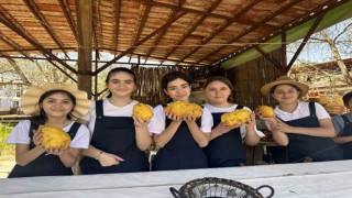 Marmarisli öğrencilerden hasat zamanı