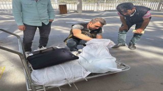Menteşe otogarında Kokoreç baskını