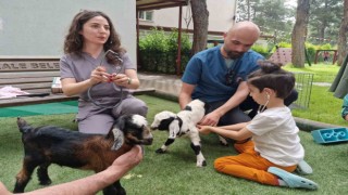 Miniklere hayvan sevgisi uygulamalı olarak aşılanıyor