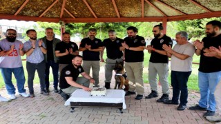 Narkotik köpeği Hulkun 7nci yaş günü pasta kesilerek kutlandı