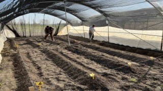 Niğde Patates Araştırma Enstitüsünde GPT ekimine başlandı