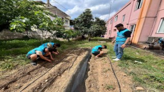 Öğrenciler yurt bahçesine sebze fidesi dikti