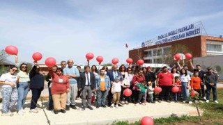 Özel bireyler ağaç dikip can suyunu verdi