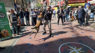 Polis haftasında narkotik köpeği vatandaşın ilgi odağı oldu