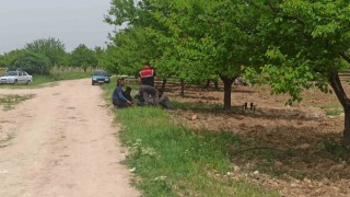 Polis memuru arazi kavgasında ağabeyini öldürdü