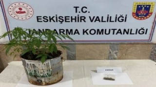 Polis ve jandarma ekiplerinden uyuşturucu operasyonu
