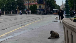 Sabah etkili olan yağmur kent merkezinin boş kalmasına sebep oldu