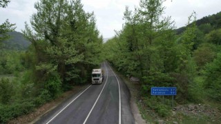 Safranboludaki ağaç tüneli hayran bırakıyor