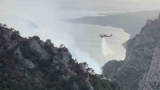Şahinkaya Kanyonunda orman yangını: 1 helikopter ve 2 uçak havadan müdahale etti