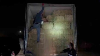 Saman balyalarının arasında 305 kilo uyuşturucu çıktı