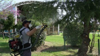 Samsunda 25 bin noktada vektörle mücadele