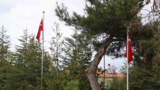 Şehit mezarlarında Türk bayrağı yok iddiası yalan çıktı