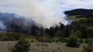 Sinopta korkutan orman yangını