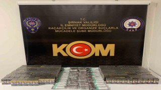 Şırnakta asayiş ve kaçakçılık operasyonu: 62 gözaltı