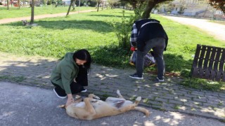 Sokak hayvanlarını unutmadılar