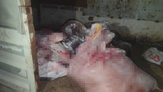 Sultangazide at eti baskını: Kamyonetten at eti çıktı, ahırda ise 3 at bulundu