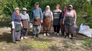 Tarım işçileri 23 Nisanı erik hasadı yaparken kutladılar