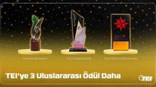 TEIye 3 Uluslararası ödül daha