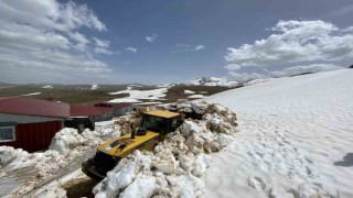 Trabzonda karla kaplı yayla yolları açılıyor