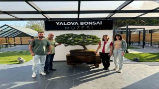 Türkiyenin ilk bosai müzesi bayramda ilgi gördü
