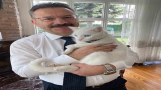 Vali Aksoy veteriner hekimlerin gününü kedisi Pamuk ile kutladı