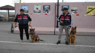 Vali Çelik, trafik uygulama noktalarını denetledi, vatandaşlarla bayramlaştı