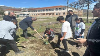 Vartoda öğrenciler okul bahçesine fidan dikti