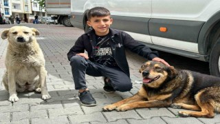 Yağmurda köpeği ıslamaktan koruyan Ayaz o anları anlattı