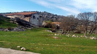 Yaşlı kadının ölümüne sebep olan çoban köpeklerinin sahibi tutuklandı