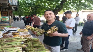 Yayla muzu tezgahlardaki yerini aldı