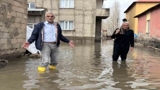 Yüksekovada sağanak yağışta evler sular altında kaldı