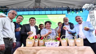 Mersin'de 14. Gezende Erik Festivali yapıldı