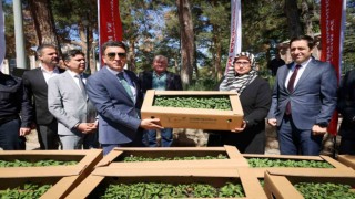 61 bin 780 adet Ata tohumu gerçekleşti