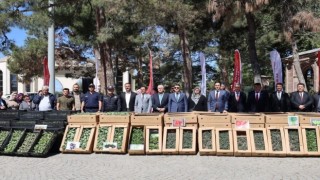 61 bin 780 adet yerli ve milli sebze fidesi dağıtıldı