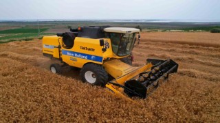 Çukurova'da buğday hasadı başladı: 1 milyon ton rekolte bekleniyor