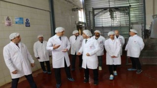Ağrıda kesimhanelerde denetim yapıldı