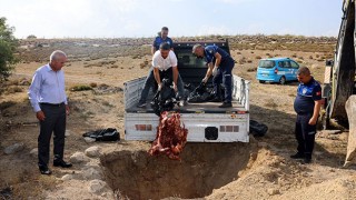 Akdeniz Zabıtası Menşei Belirsiz 500 Kilo Et Ele Geçirdi