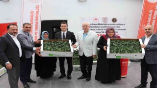 Akıncılarda salçalık domates ve biber fidesi dağıtıldı