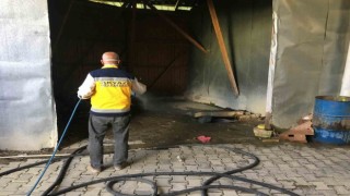 Akyazıda sinek ve larva mücadelesi sürüyor