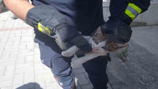 Alanyada motosikletin içine sıkışan kedi 15 dakikalık çalışmayla kurtarıldı