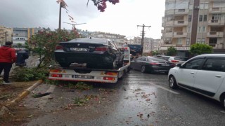 Alanyada refüje çıkan otomobil ağaçları devirdi