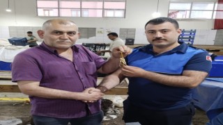 Amasyada pazarda kaybolan altın kesesini pazarcı Hasan Kalburcu buldu