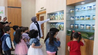 Anaokulu öğrencilerinden Balık Müzesine ziyaret