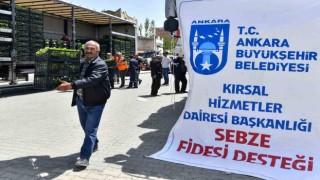 Ankara Büyükşehir Belediyesinin sebze fidesi dağıtımı tekrar başladı
