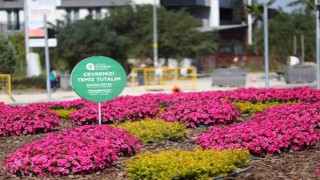 Antalyada 2 milyon yazlık çiçek toprakla buluşuyor